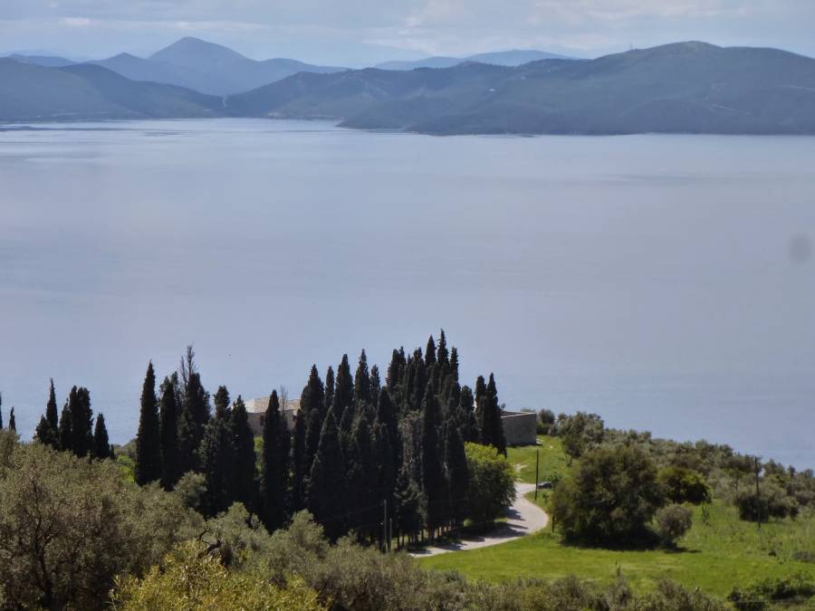 Διακοσμητική εικόνα για φεστιβάλ Πάου