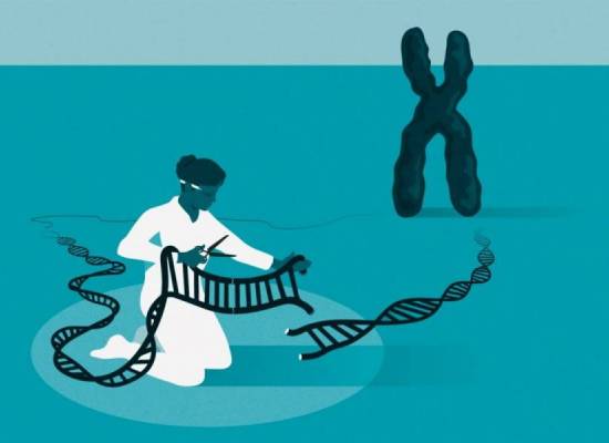 Τεχνολογία μηχανικής γενετικής CRISPR