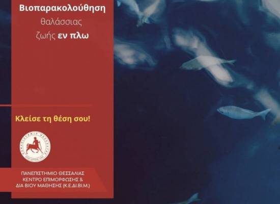 Βιοπαρακολούθηση θαλάσσιας ζωής εν πλω