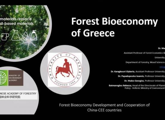 Διεθνείς συνεργασίες σε θέματα βιοοικονομίας δασών & δασικών προϊόντων