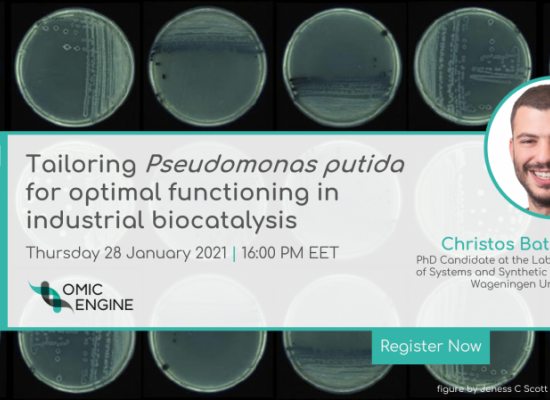 Tailoring Pseudomonas putida for optimal functioning in industrial biocatalysis