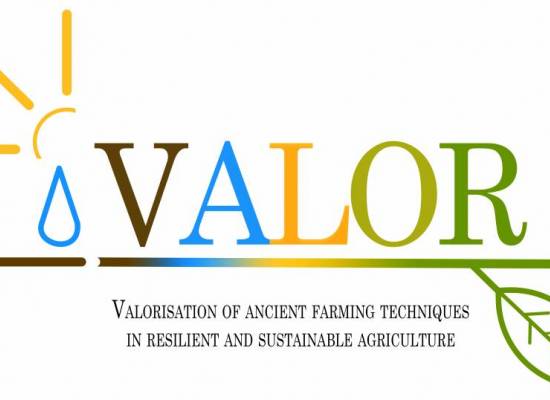 Ενημερωτικά Δελτία του Προγράμματος Valor : Αξιοποίηση των αρχέγονων καλλιεργητικών τεχνικών στην ανθεκτική και βιώσιμη γεωργία. 