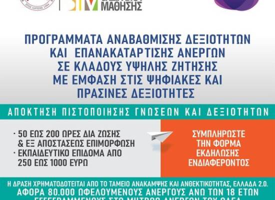 Προγράμματα αναβάθμισης δεξιοτήτων και επανακατάρτισης σε κλάδους υψηλής ζήτησης με έμφαση στις ψηφιακές και πράσινες δεξιότητες
