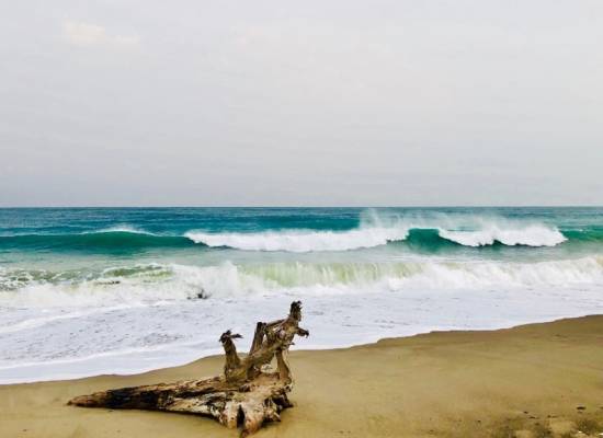Valentina Laface: The Use of Storm Models in the Field of Ocean Engineering