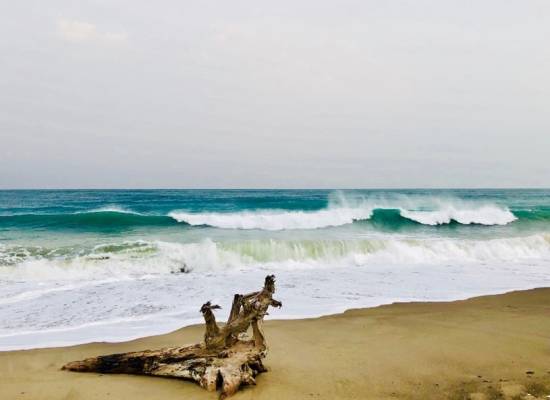 Valentina Laface: The Use of Storm Models in the Field of Ocean Engineering