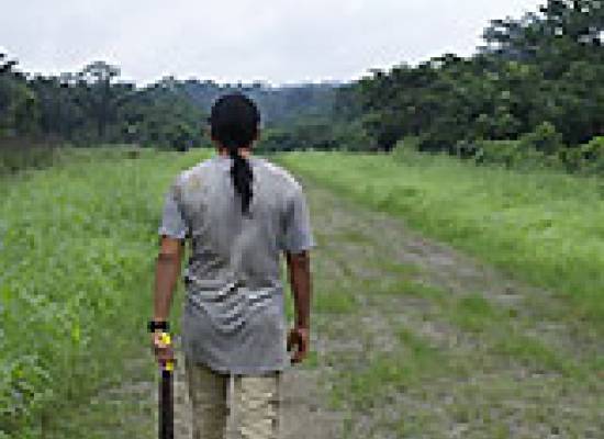 Κοσμοπολιτικές του Παγκόσμιου Νότου: Το buen vivir στην Αμαζονία του Ισημερινού