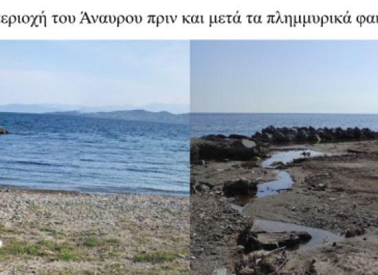 Αρχικά αποτελέσματα ερευνών του Τμήματος Γεωπονίας Ιχθυολογίας και Υδάτινου Περιβάλλοντος του Πανεπιστημίου Θεσσαλίας στην ανοιχτή θάλασσα και στο παράκτιο οικοσύστημα του Παγασητικού κόλπου