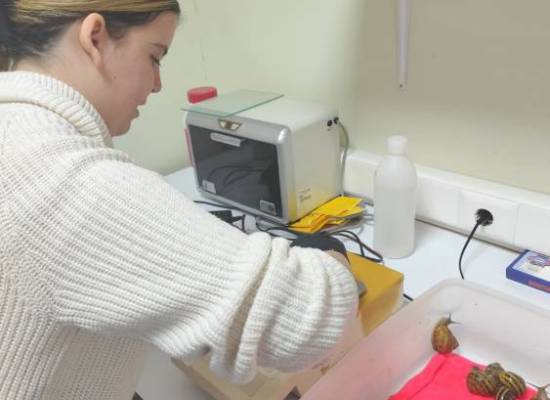 Συνεργασία Πανεπιστημίου Θεσσαλίας και ΔΙΟΔΟΣ ΑμΚΕ για την εκπαίδευση και επαγγελματική ενδυνάμωση ωφελούμενων ψυχικής υγείας