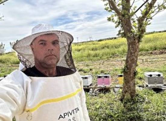 Ενημέρωση για τις Διαταραχές Αυτιστικού Φάσματος (ΔΑΦ)