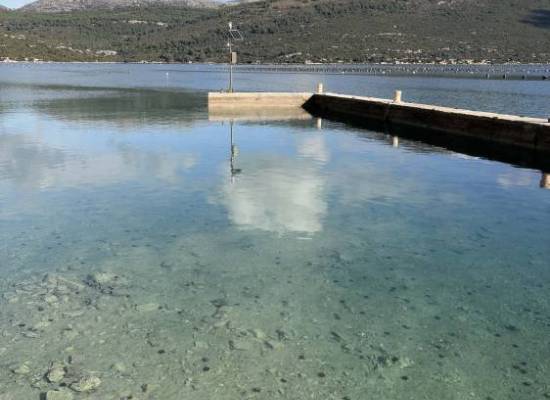 Καινοτομία και Βιωσιμότητα στην Υδατοκαλλιέργεια μέσω του DiBluCa