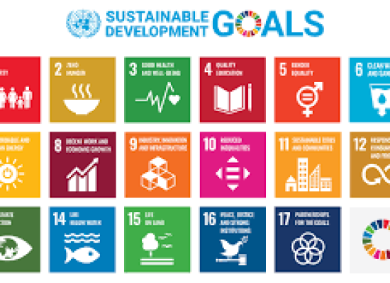 Appointment of the SDG Ambassadors of the University of Thessaly