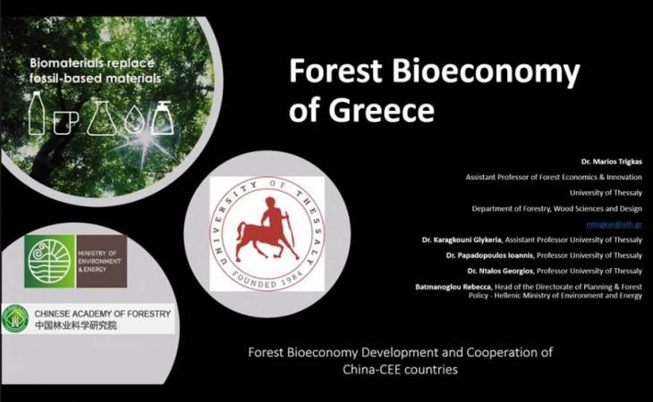 Διεθνείς συνεργασίες σε θέματα βιοοικονομίας δασών & δασικών προϊόντων