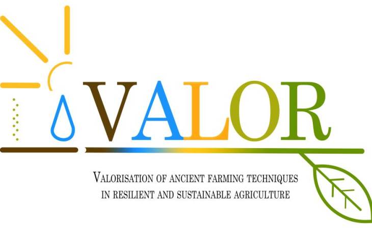 5o Ενημερωτικό Δελτίο στο πλαίσιο του ερευνητικού προγράμματος Erasmus+ Valor “Αξιοποίηση των αρχέγονων καλλιεργητικών τεχνικών στην ανθεκτική και βιώσιμη γεωργία”.