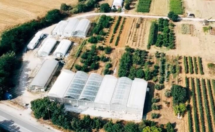 Επίσκεψη μαθητών στο Πιλοτικό Θερμοκηπιακό Πάρκο του ΠΘ στο Βελεστίνο