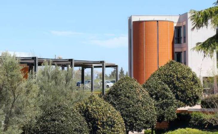 Προκήρυξη ΠΜΣ "Βιοτεχνολογία - Ποιότητα Διατροφής και Περιβάλλοντος"